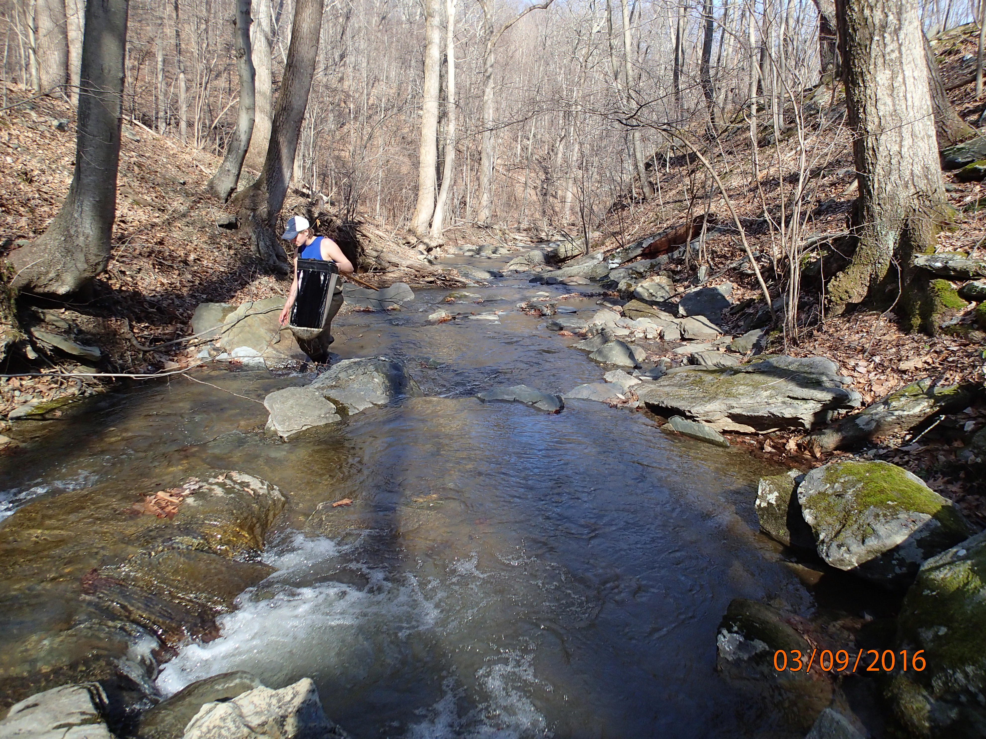 Field photo showing stream conditions at site UMON-119-S-2016-MidpointPDownstream