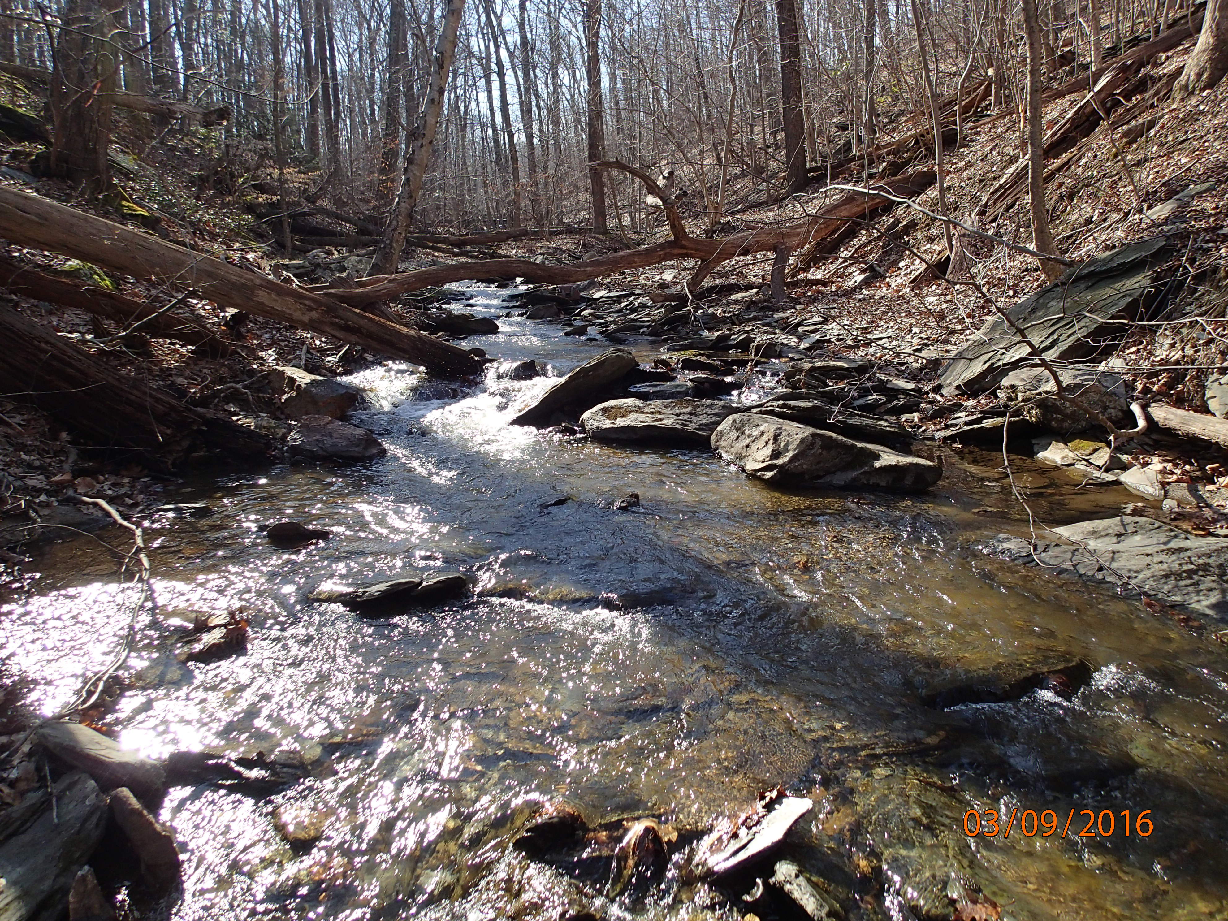 Field photo showing stream conditions at site UMON-119-S-2016-MidpointPUpstream