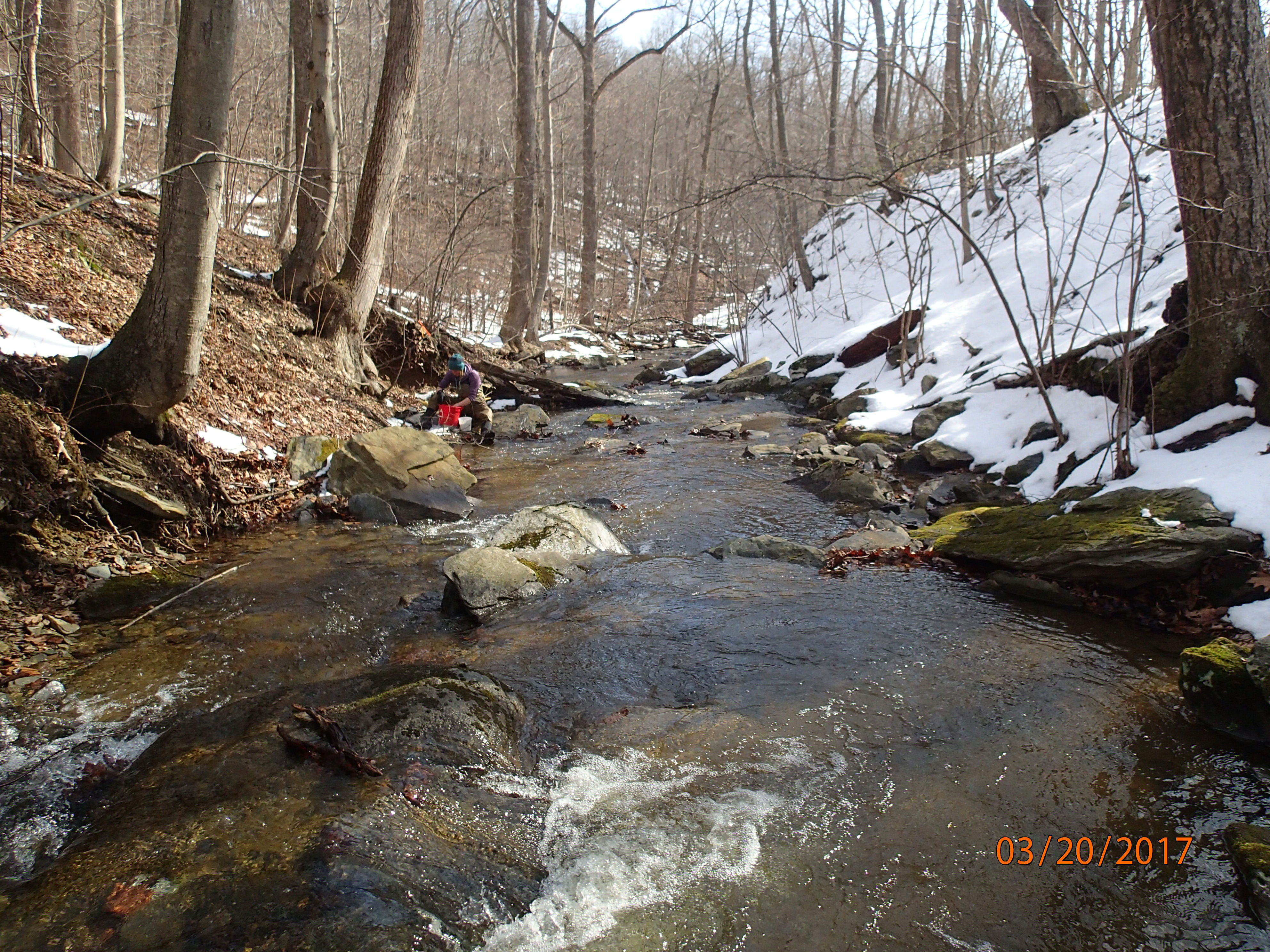 Field photo showing stream conditions at site UMON-119-S-2017-MidpointPDownstream