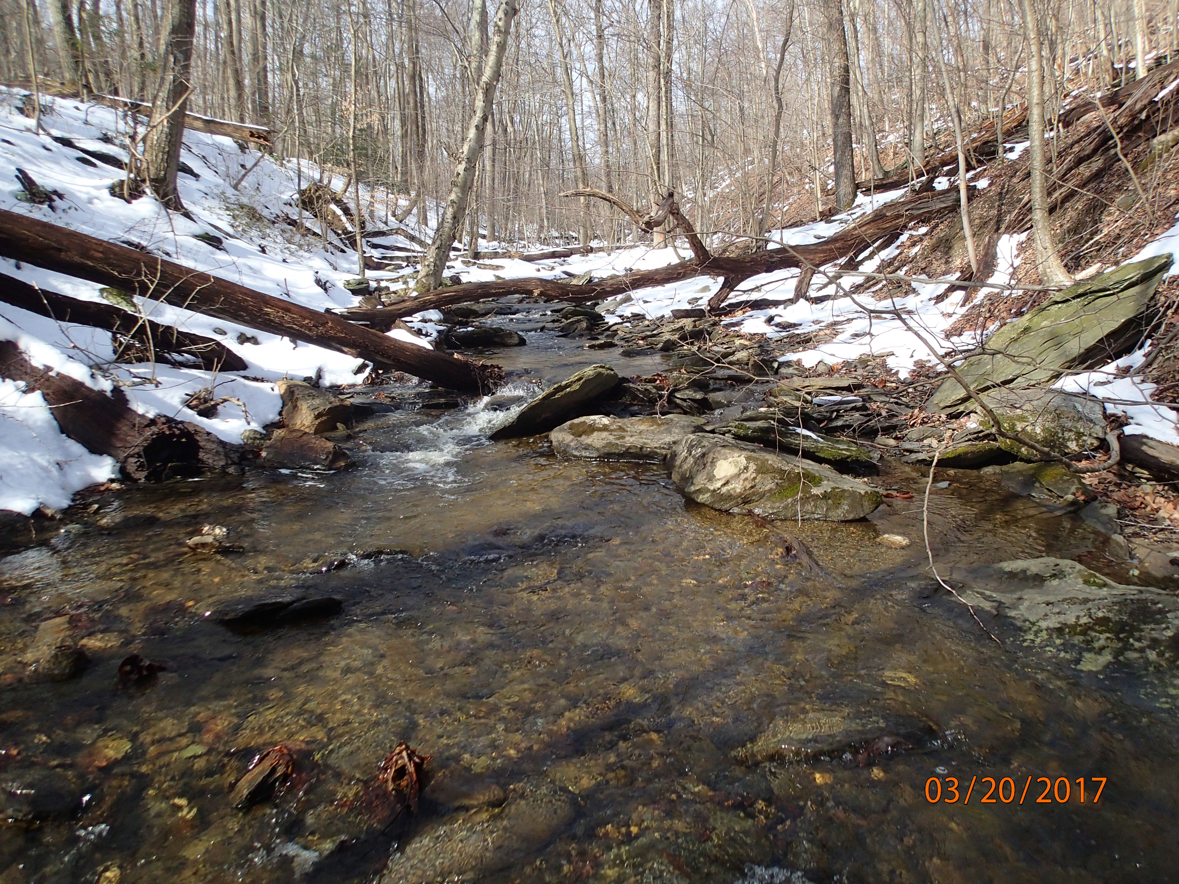 Field photo showing stream conditions at site UMON-119-S-2017-MidpointPUpstream