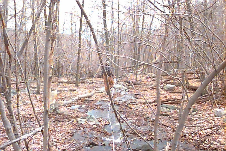 Field photo showing stream conditions at site UMON-128-R-2000-01