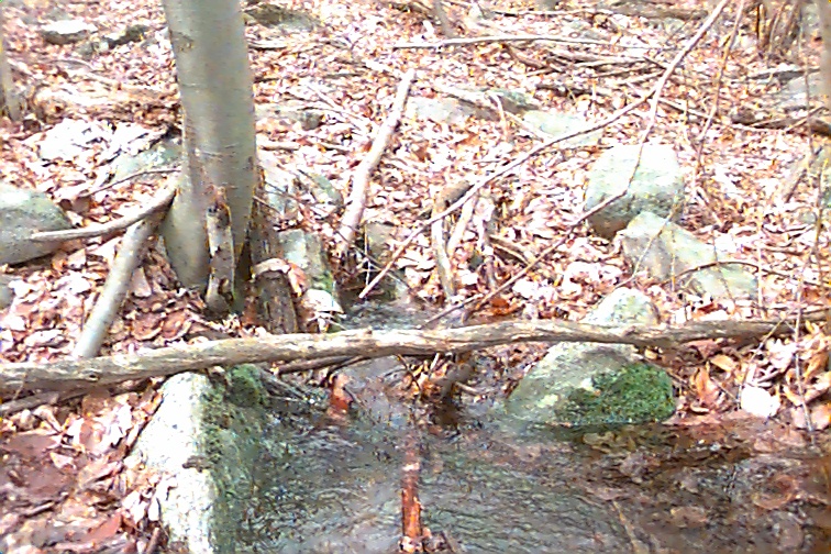 Field photo showing stream conditions at site UMON-128-R-2000-02