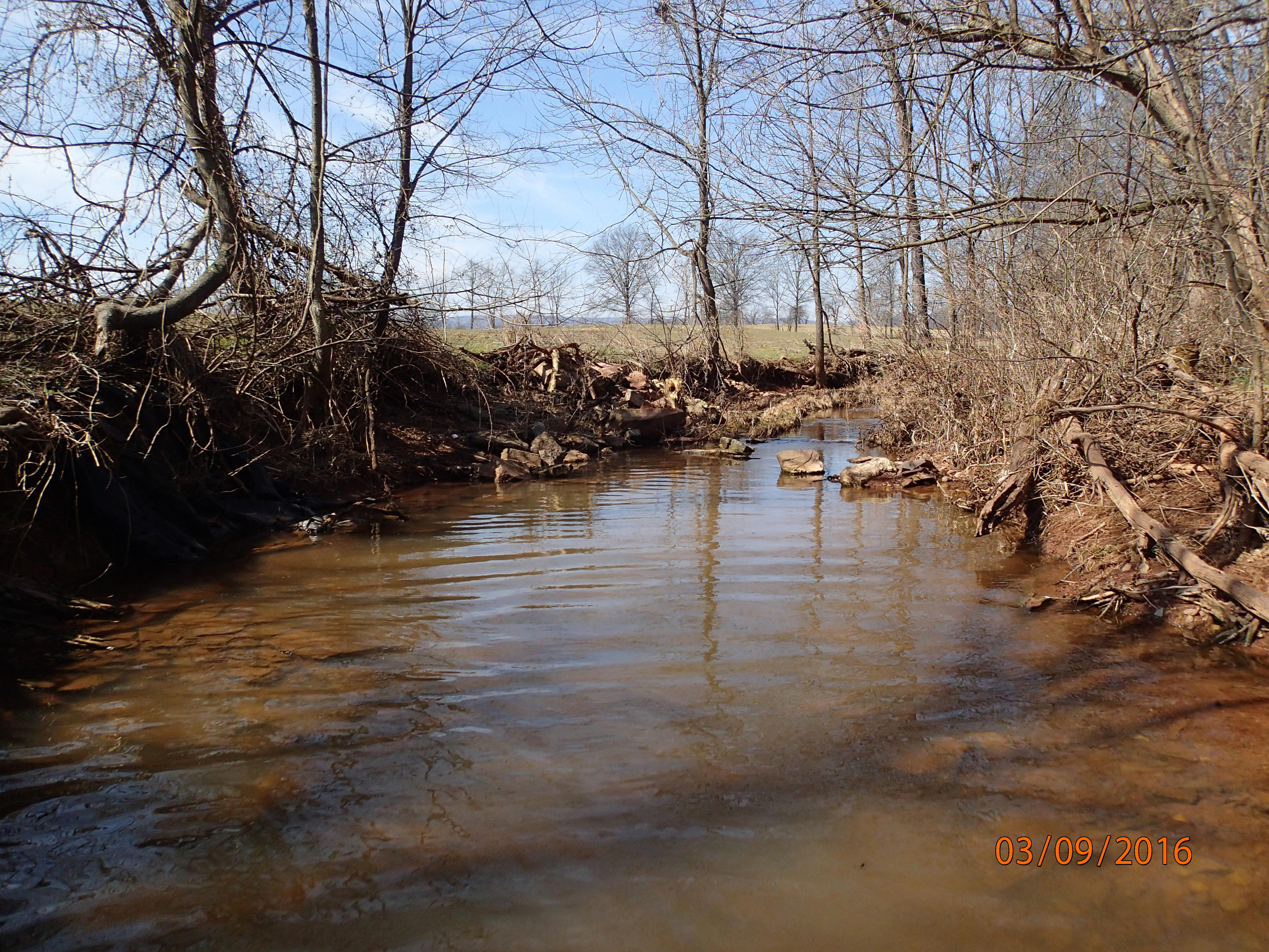 Field photo showing stream conditions at site UMON-130-R-2016-MidpointDownstream