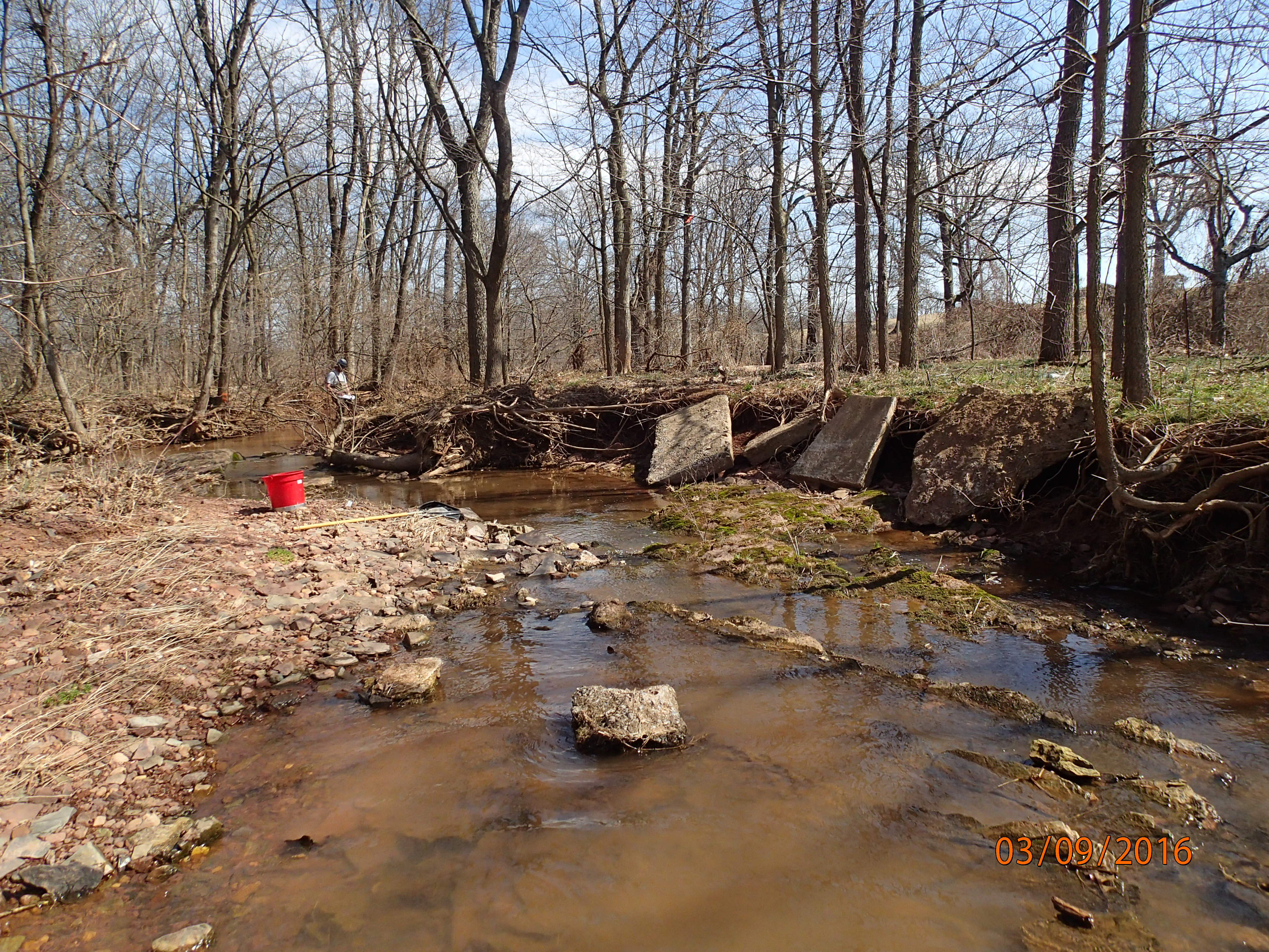 Field photo showing stream conditions at site UMON-130-R-2016-MidpointUpstream