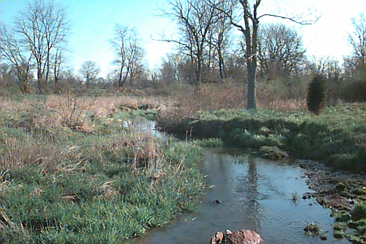 Field photo showing stream conditions at site UMON-131-R-2000-01