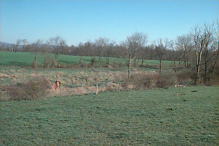 Field photo showing stream conditions at site UMON-131-R-2000-03
