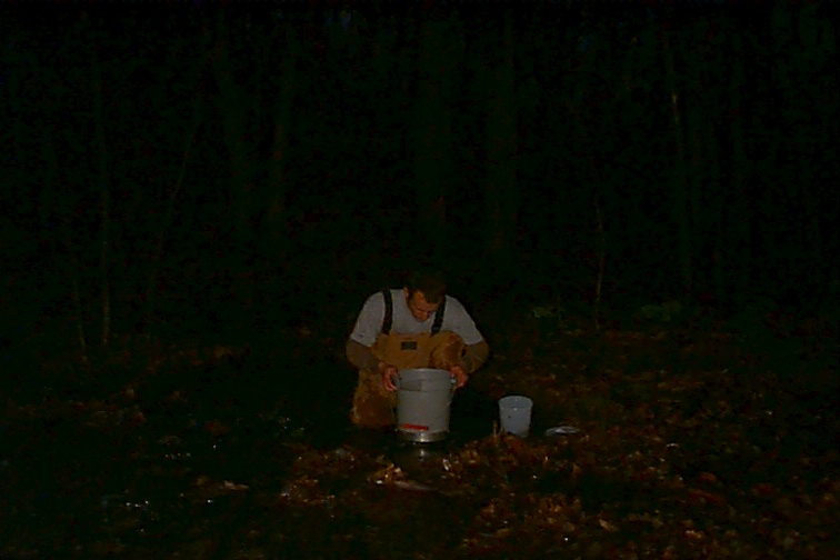 Field photo showing stream conditions at site UMON-132-R-2000-01