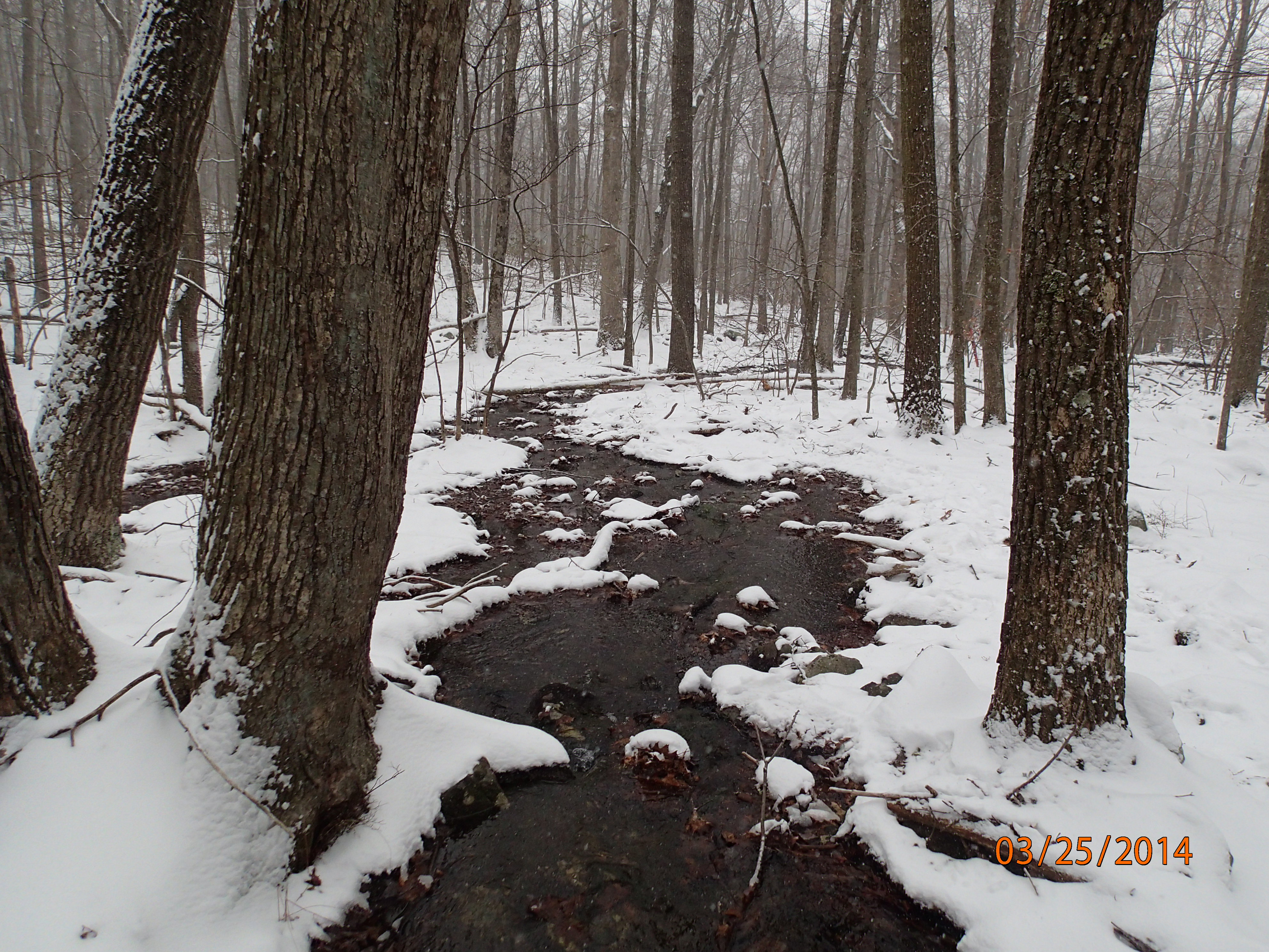 Field photo showing stream conditions at site UMON-132-R-2014-MidpointDownstream