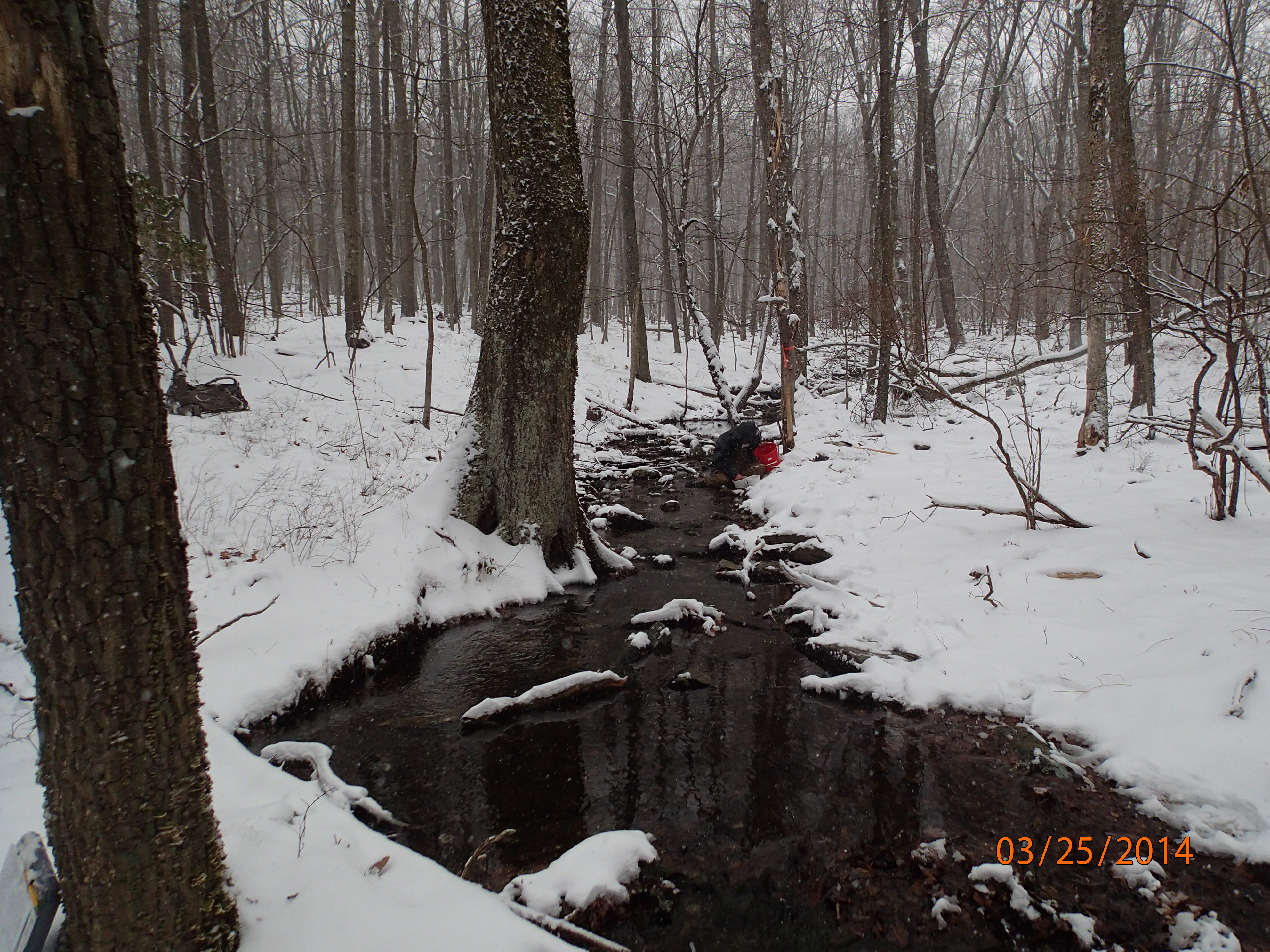 Field photo showing stream conditions at site UMON-132-R-2014-MidpointUpstream