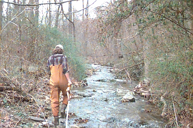 Field photo showing stream conditions at site UMON-134-R-2000-01