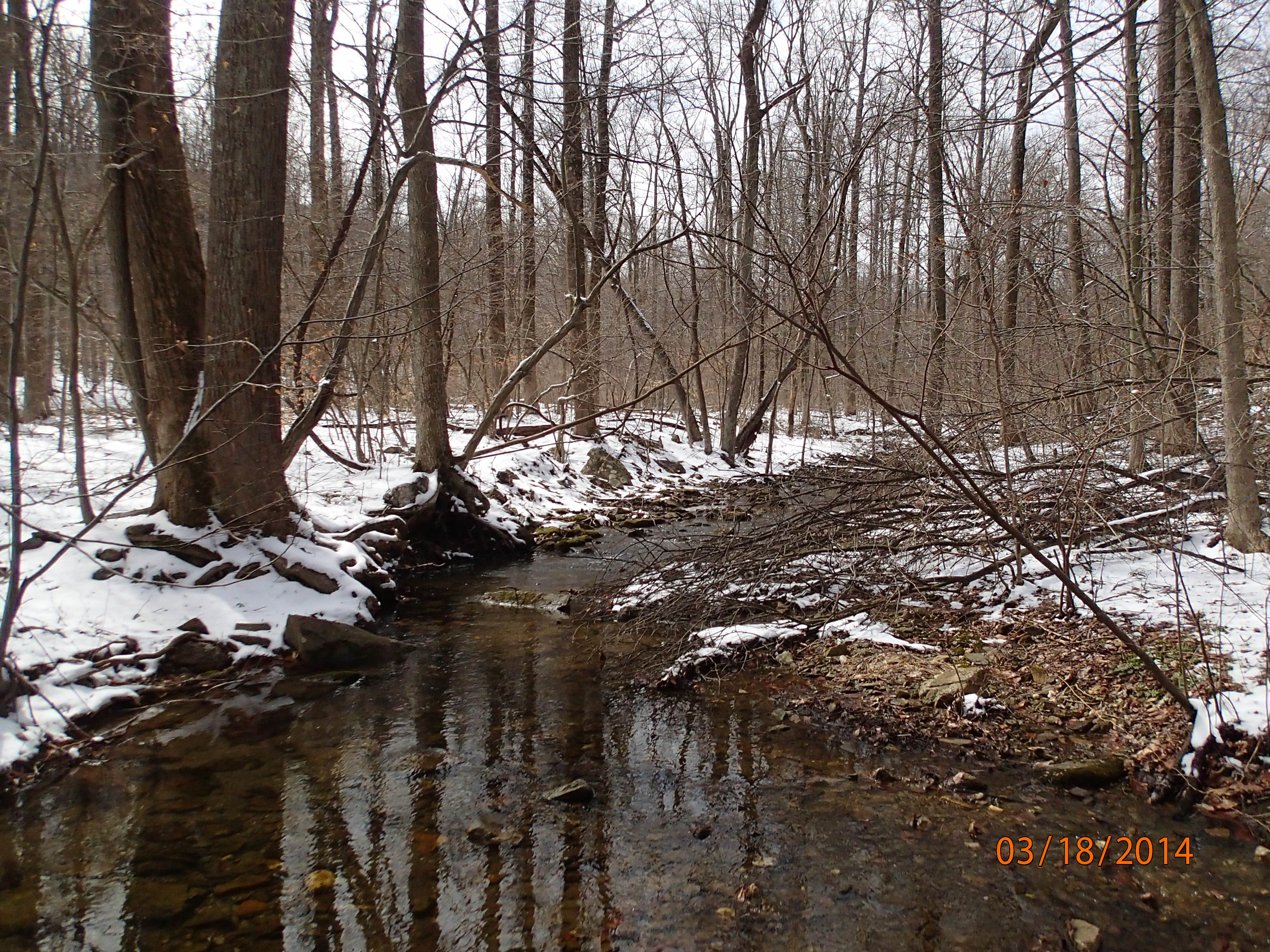 Field photo showing stream conditions at site UMON-134-R-2014-MidpointUpstream