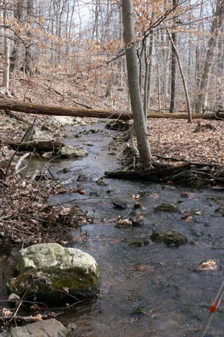 Field photo showing stream conditions at site UMON-193-B-2012_Mid-pointDownstream