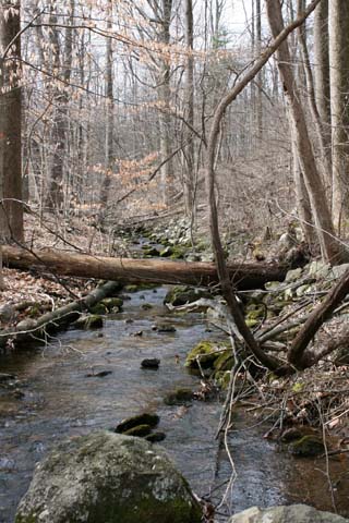 Field photo showing stream conditions at site UMON-193-B-2012_Mid-pointUpstream
