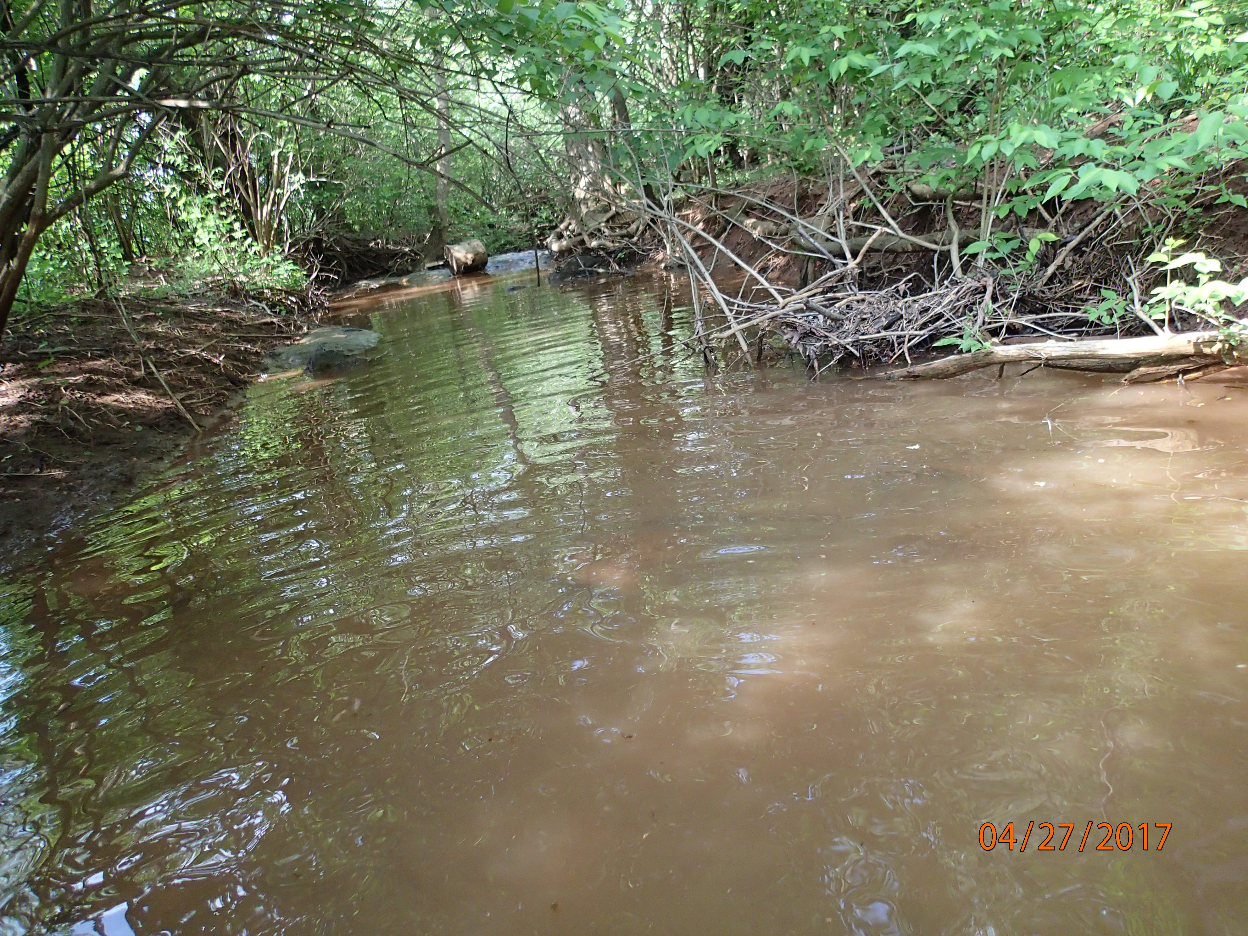 Field photo showing stream conditions at site UMON-196-X-2017-MidpointDownstream