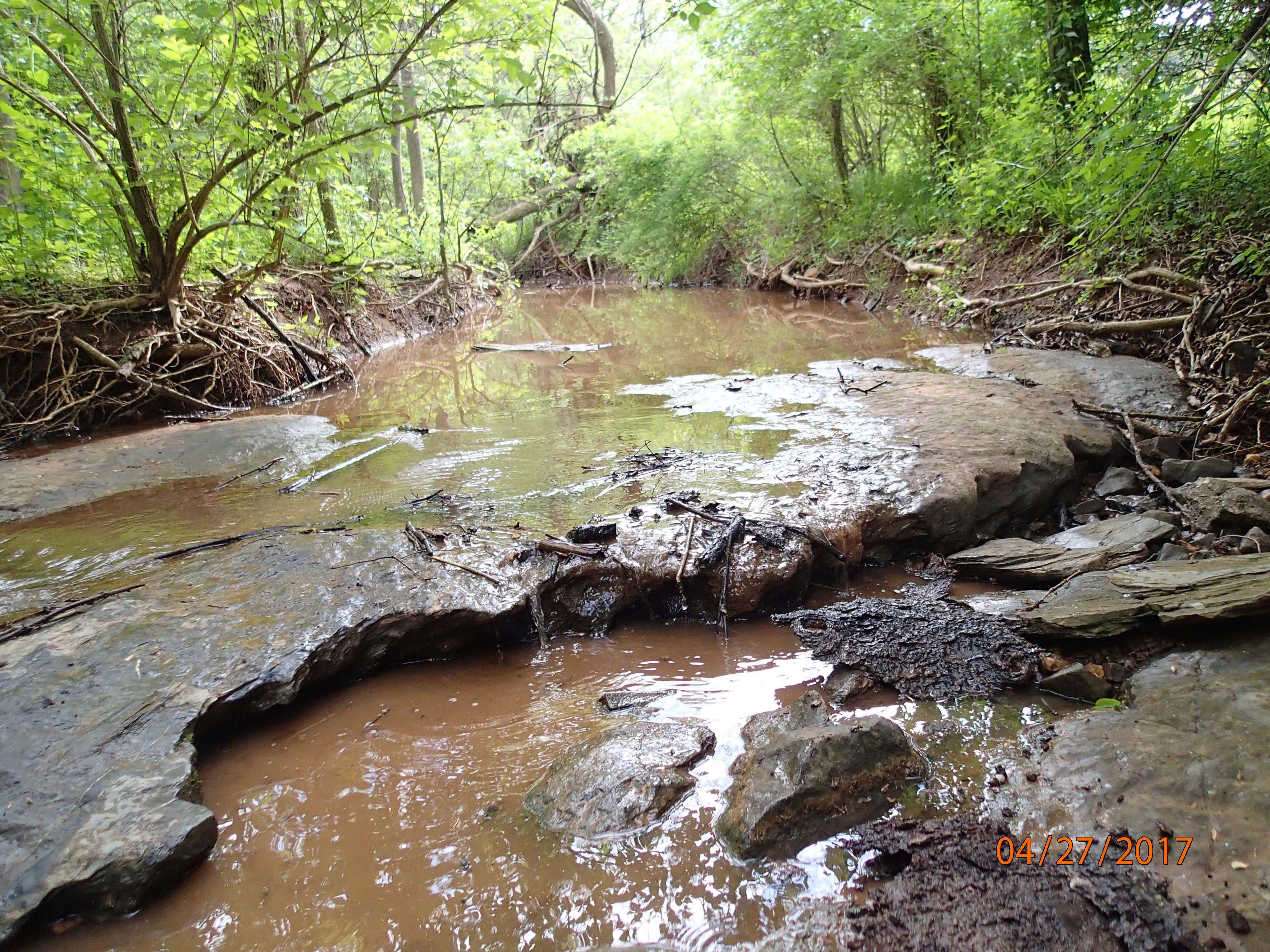 Field photo showing stream conditions at site UMON-196-X-2017-MidpointUpstream
