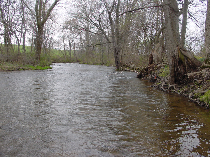 Field photo showing stream conditions at site UMON-201-R-2007-1
