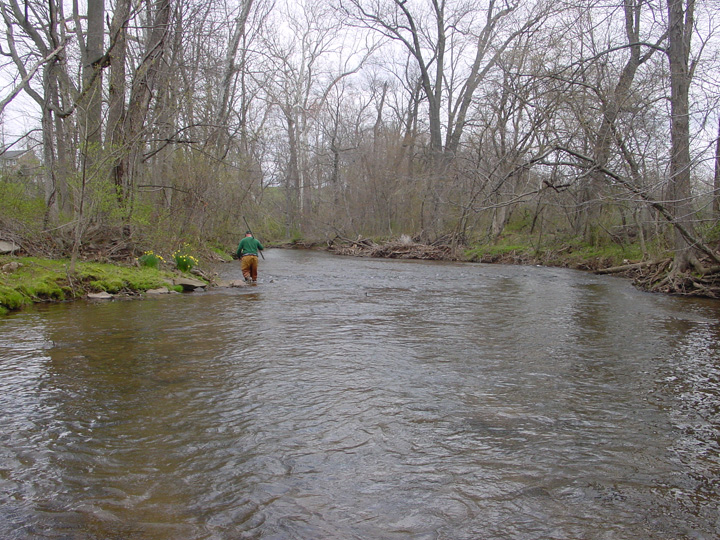 Field photo showing stream conditions at site UMON-201-R-2007-2