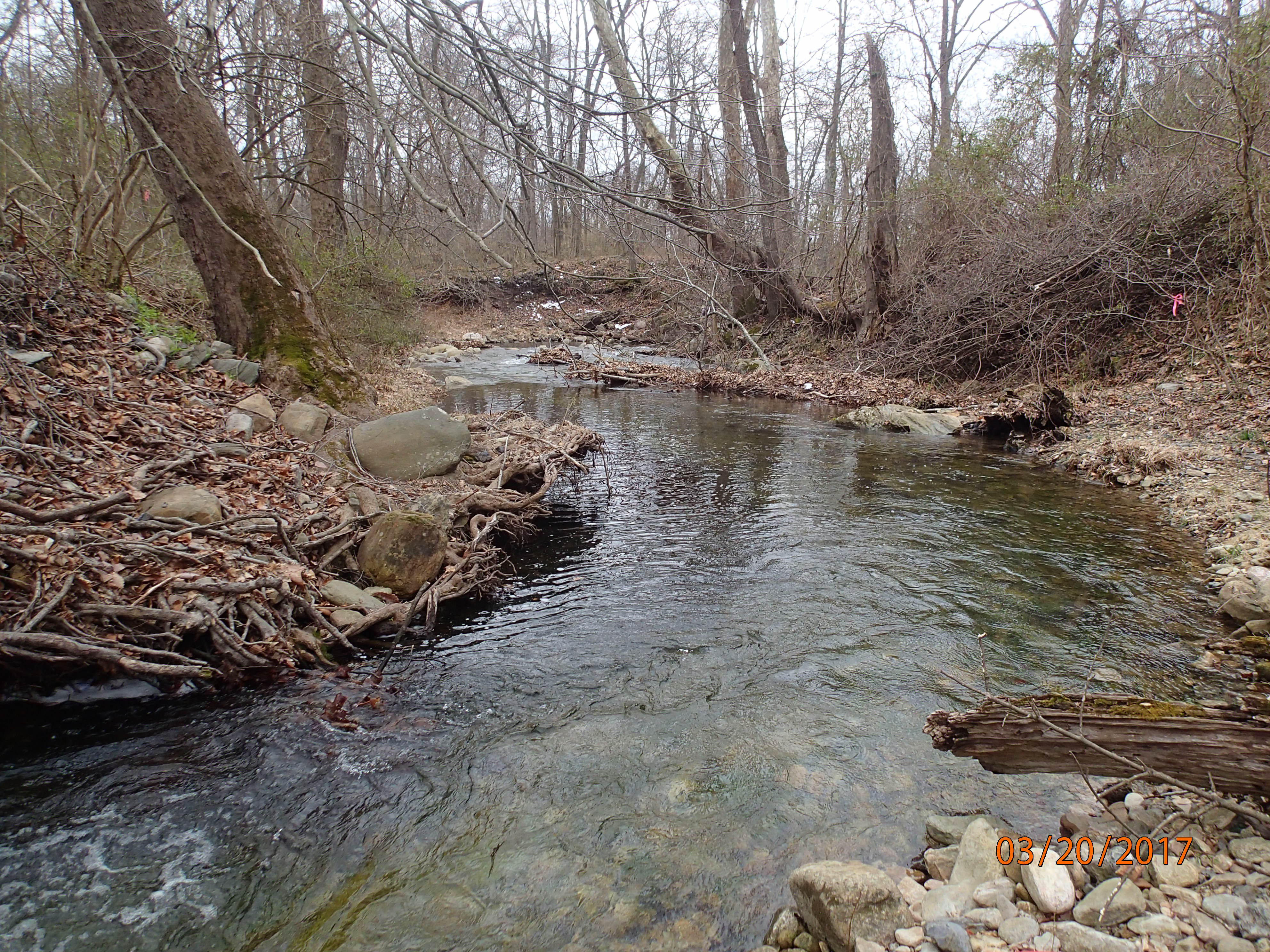 Field photo showing stream conditions at site UMON-201-X-2017-MidpointDownstream