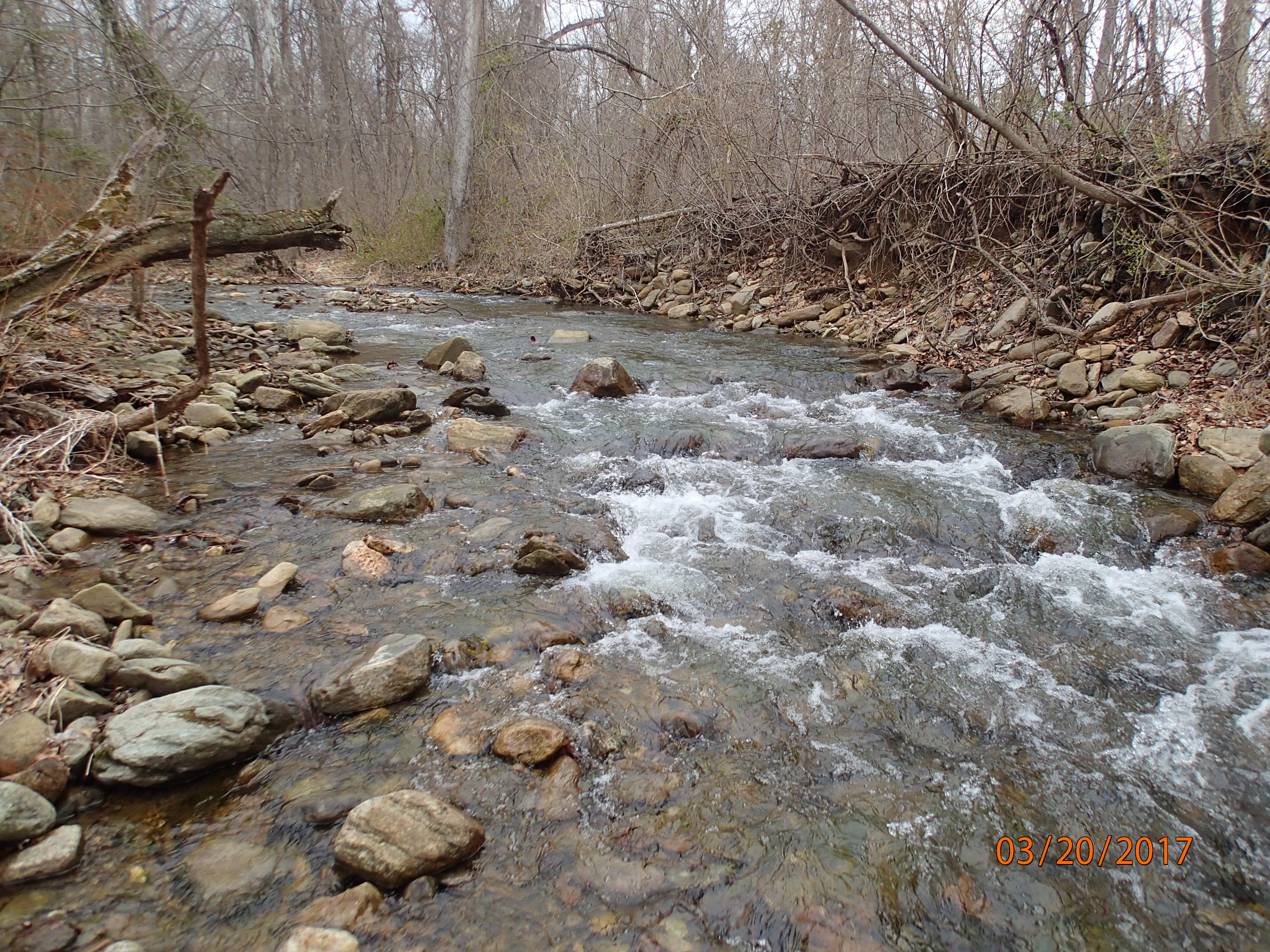 Field photo showing stream conditions at site UMON-201-X-2017-MidpointUpstream