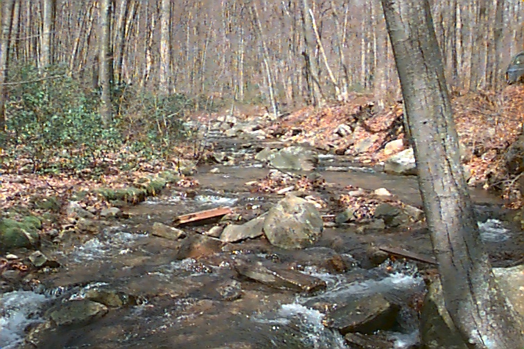 Field photo showing stream conditions at site UMON-202-C-2000-01