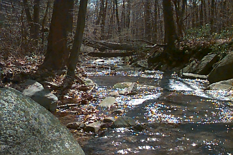 Field photo showing stream conditions at site UMON-202-C-2000-02