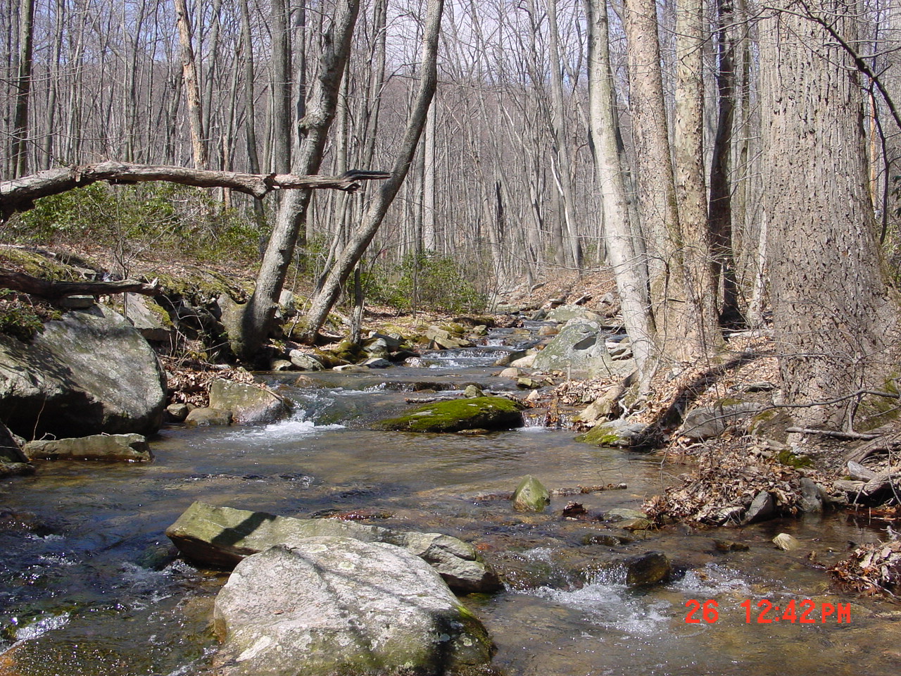 Field photo showing stream conditions at site UMON-202-C-2001-1