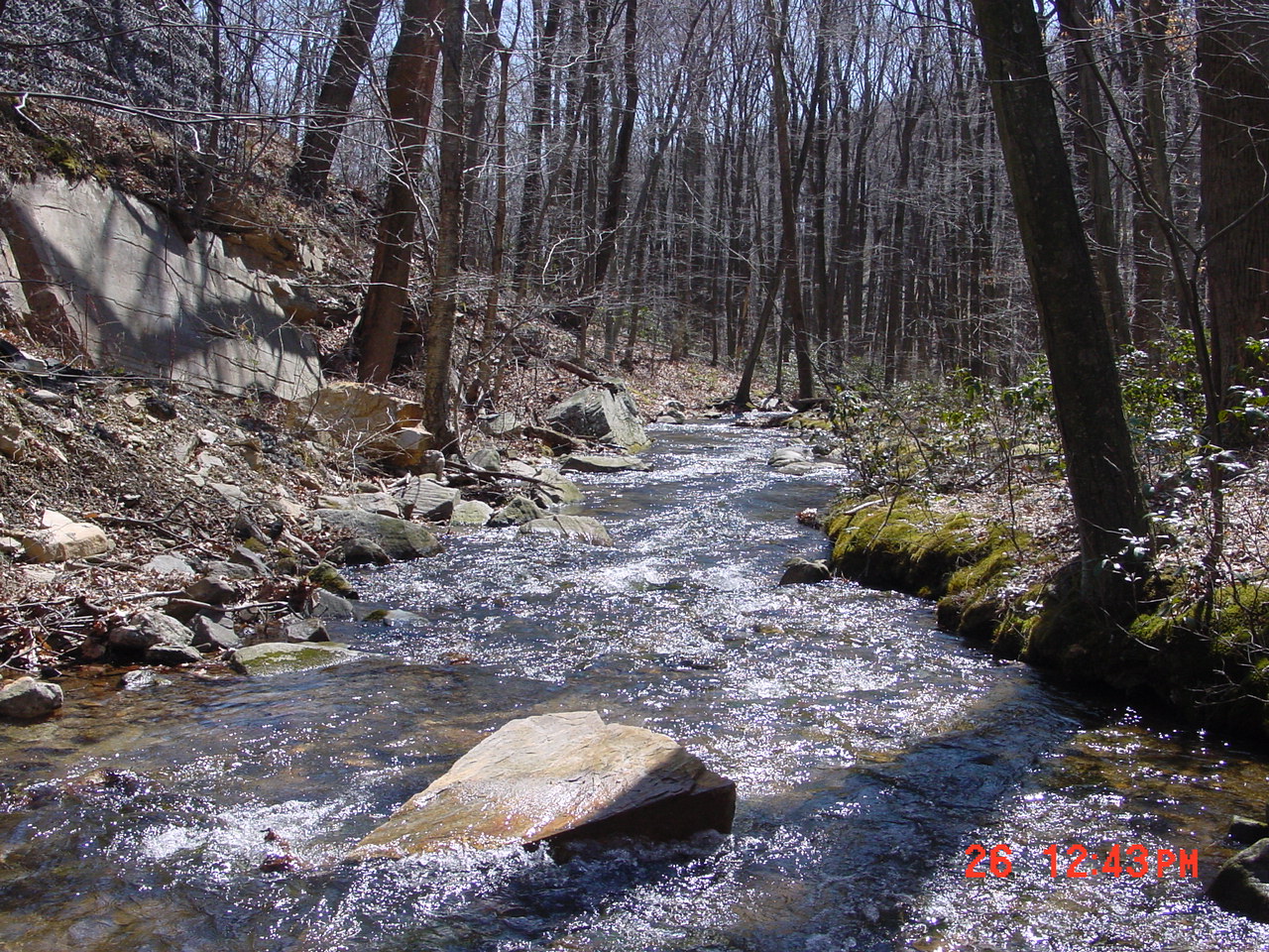 Field photo showing stream conditions at site UMON-202-C-2001-2