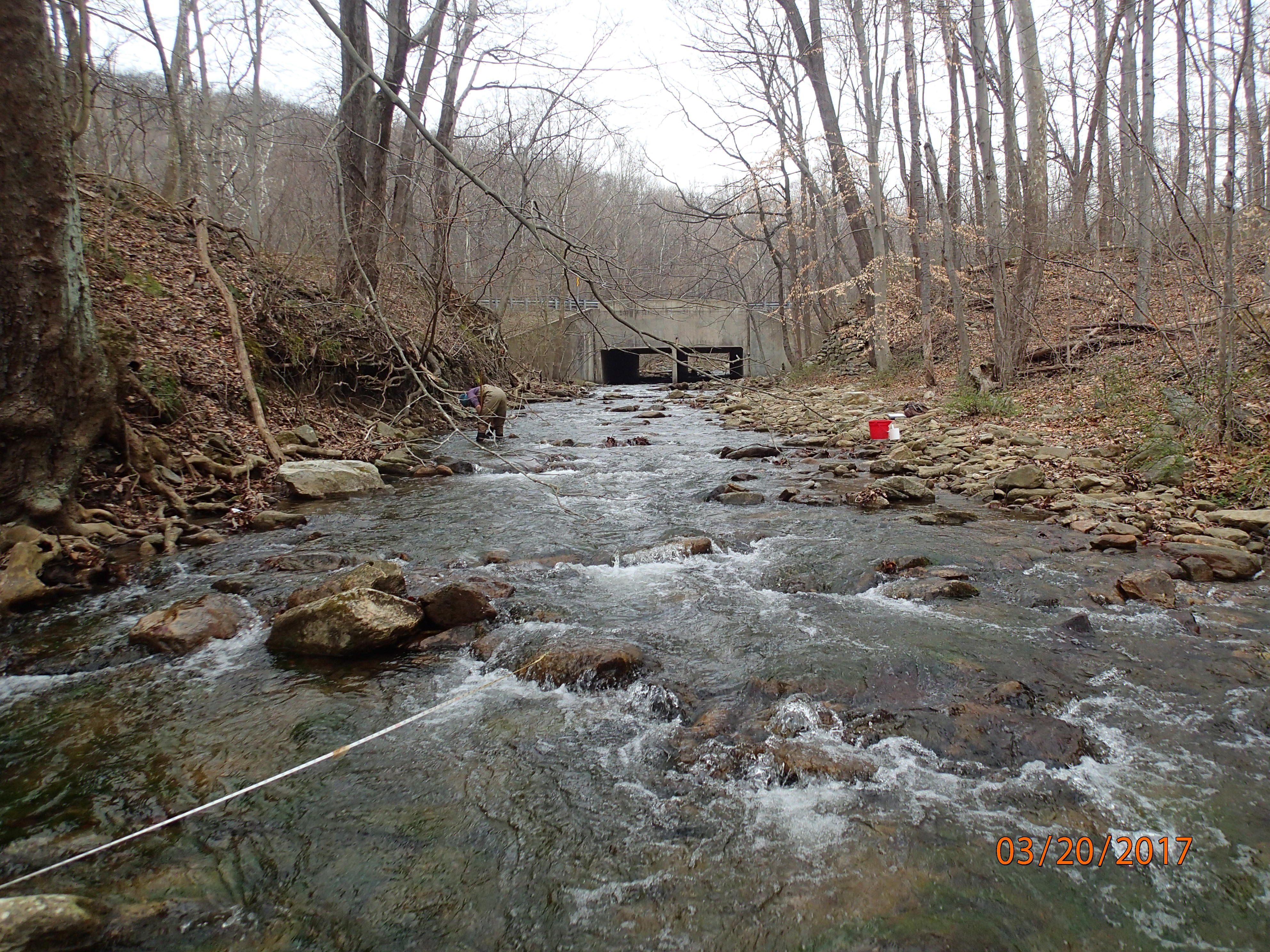 Field photo showing stream conditions at site UMON-202-X-2017-MidpointUpstream