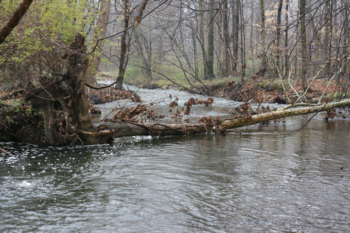 Field photo showing stream conditions at site UMON-203-A-2009-1
