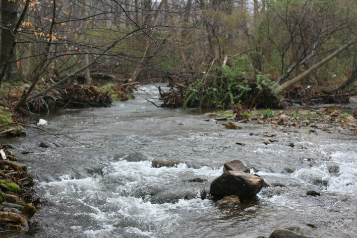 Field photo showing stream conditions at site UMON-203-A-2009-2