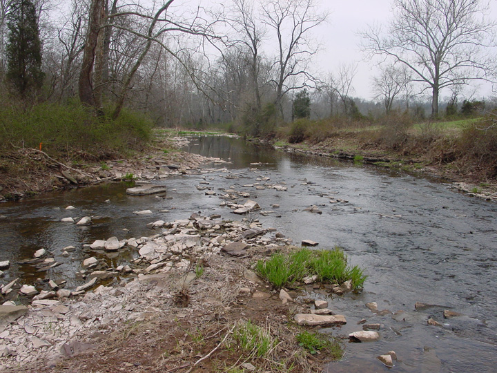 Field photo showing stream conditions at site UMON-203-R-2007-2