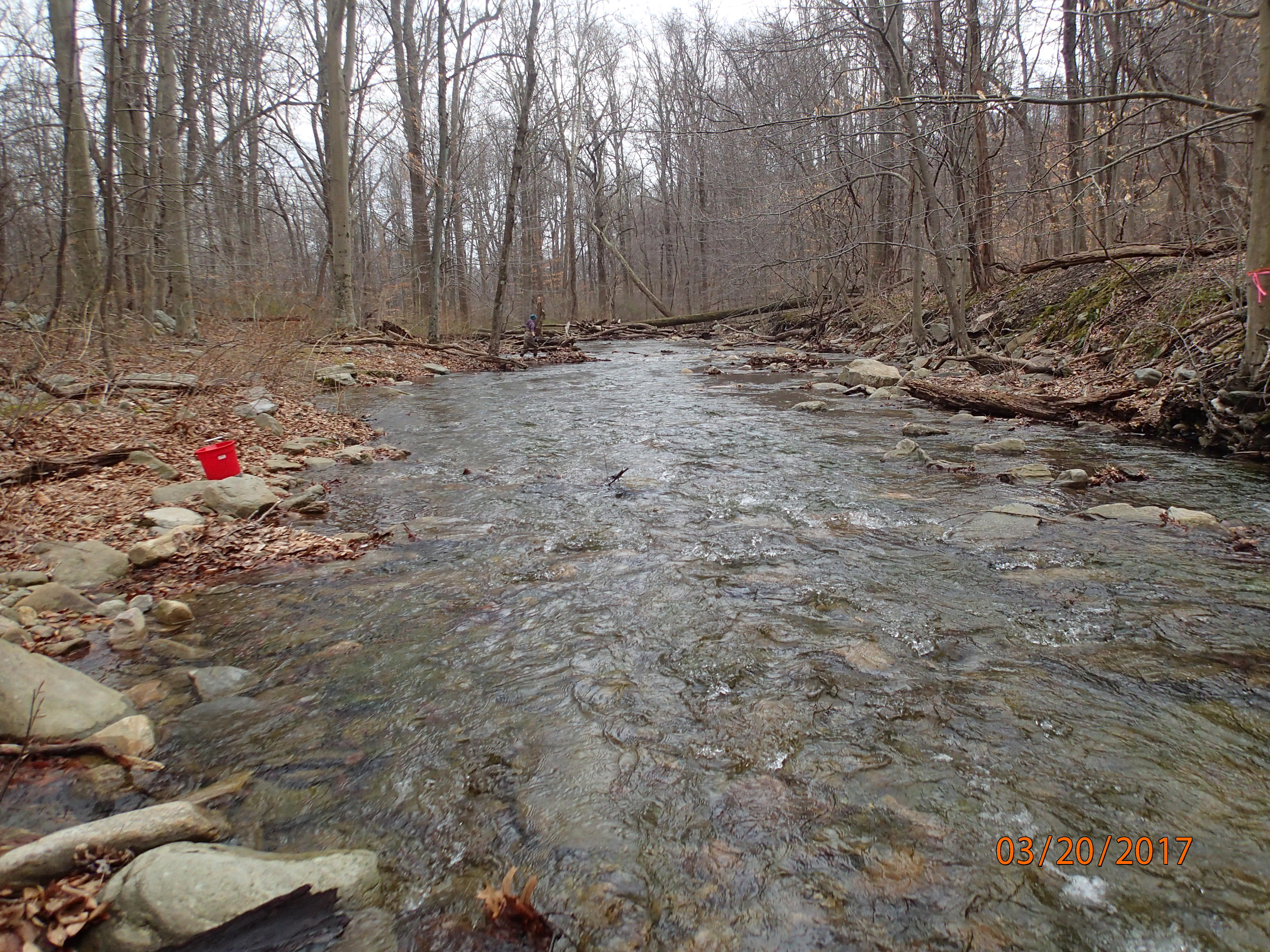 Field photo showing stream conditions at site UMON-203-X-2017-MidpointDownstream