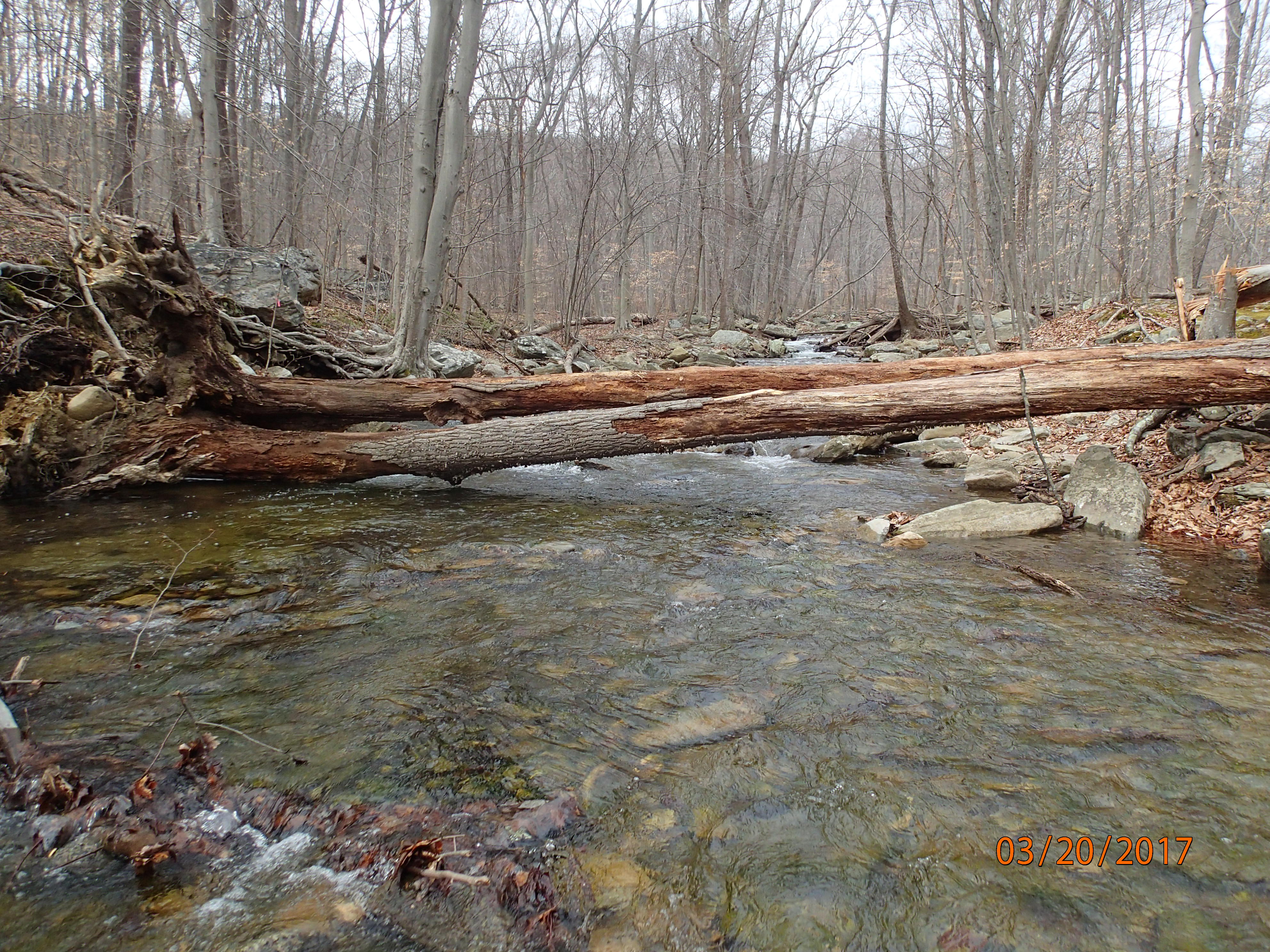 Field photo showing stream conditions at site UMON-203-X-2017-MidpointUpstream