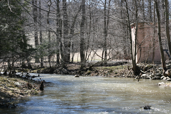 Field photo showing stream conditions at site UMON-206-B-2010-1