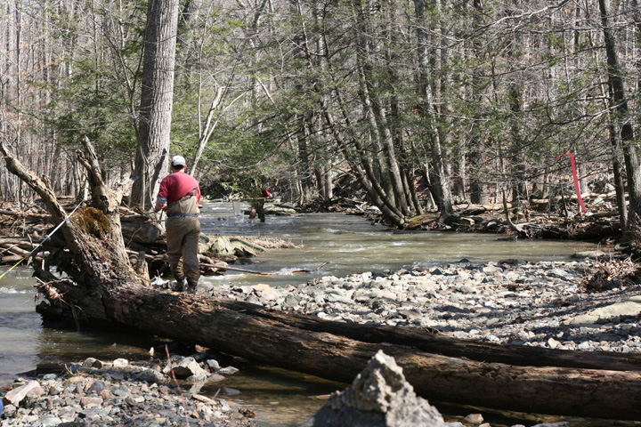 Field photo showing stream conditions at site UMON-206-B-2010-2