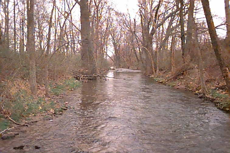 Field photo showing stream conditions at site UMON-207-R-2000-01