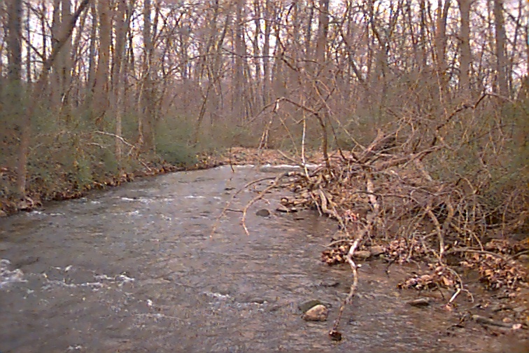 Field photo showing stream conditions at site UMON-207-R-2000-02