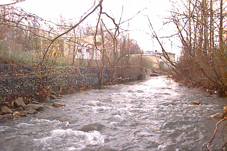 Field photo showing stream conditions at site UMON-221-R-2000-03