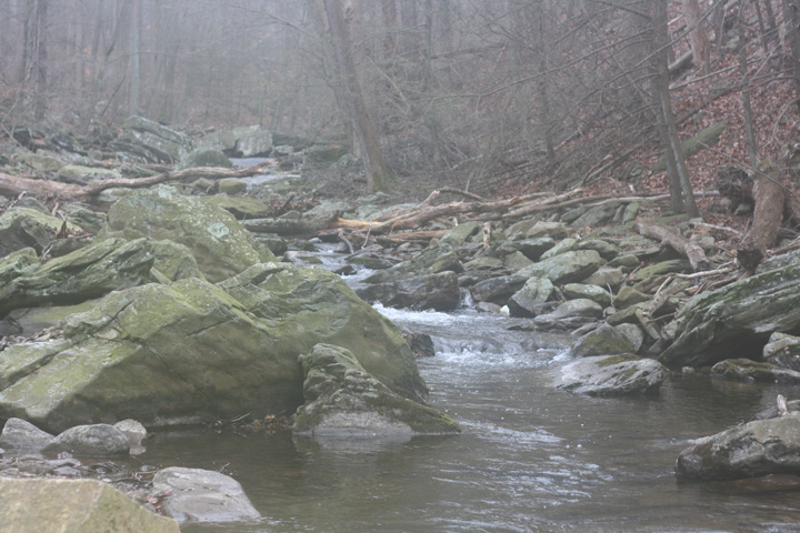 Field photo showing stream conditions at site UMON-223-A-2009-2