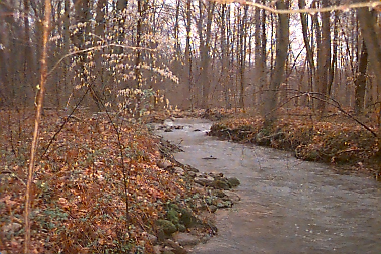 Field photo showing stream conditions at site UMON-229-R-2000-01