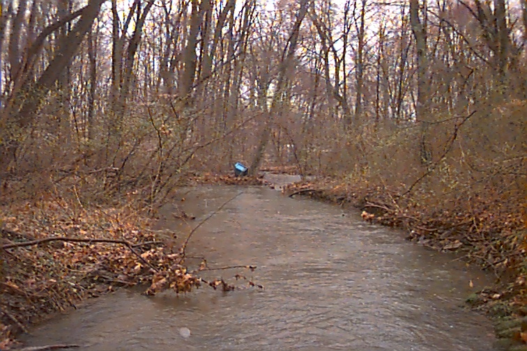 Field photo showing stream conditions at site UMON-229-R-2000-02