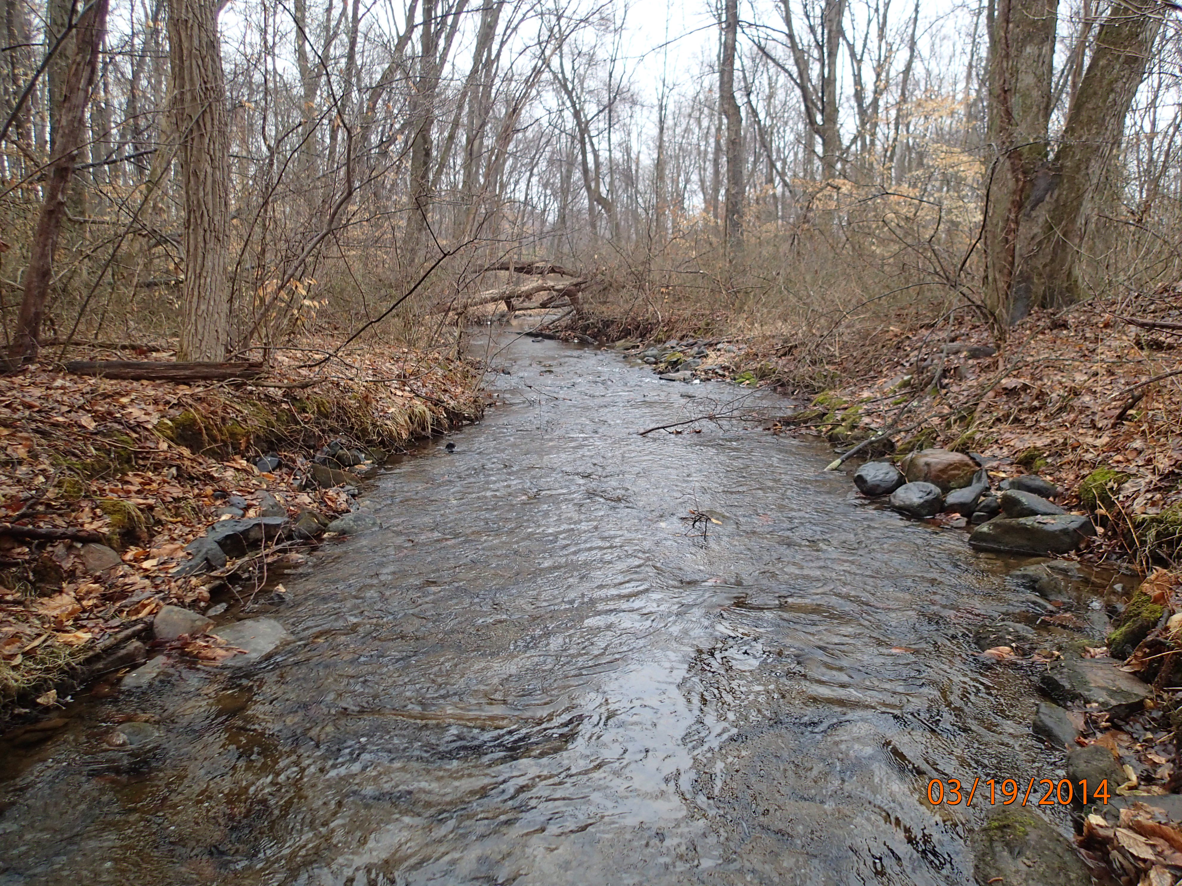 Field photo showing stream conditions at site UMON-229-R-2014-30mFacingDownstream