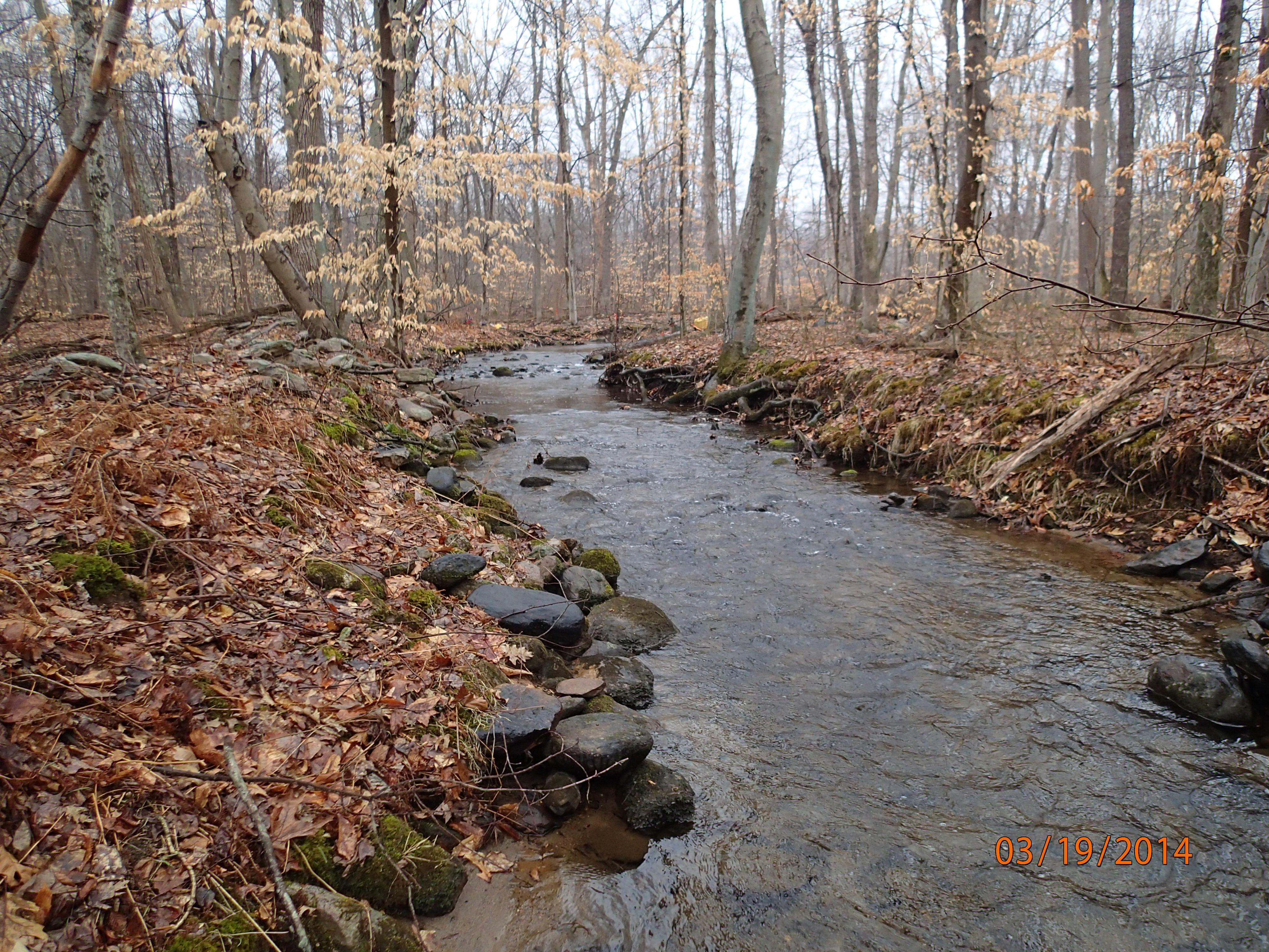 Field photo showing stream conditions at site UMON-229-R-2014-30mFacingUpstream