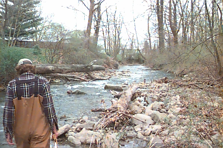 Field photo showing stream conditions at site UMON-230-R-2000-01