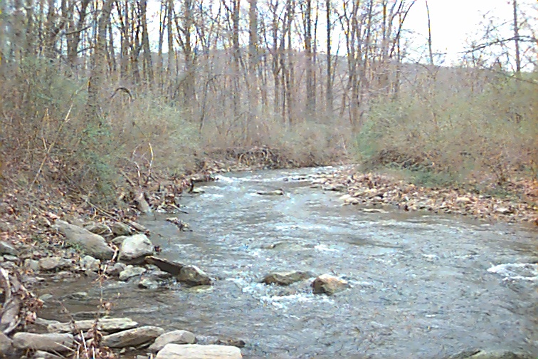 Field photo showing stream conditions at site UMON-230-R-2000-02