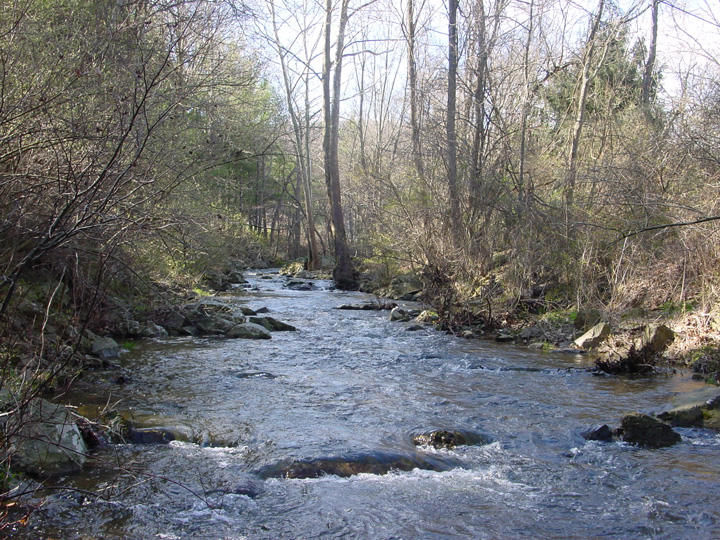 Field photo showing stream conditions at site UMON-278-A-2007-1