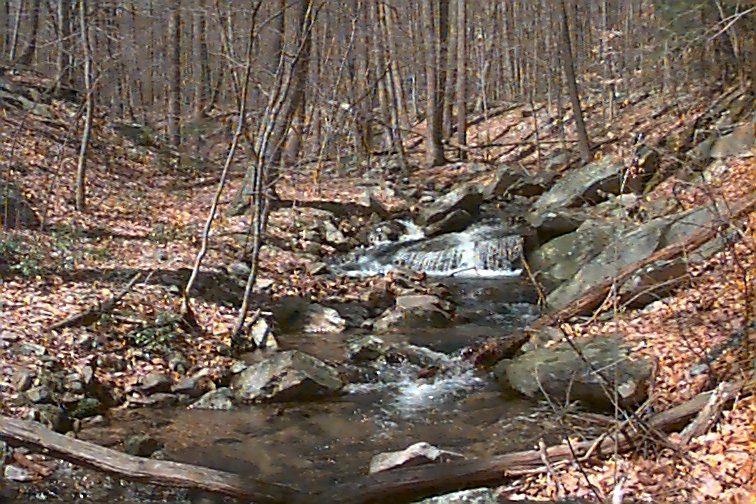 Field photo showing stream conditions at site UMON-288-S-2000-01