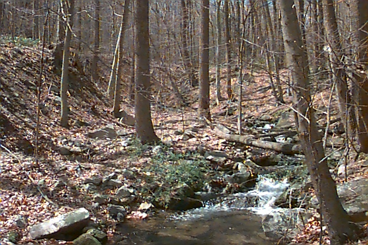 Field photo showing stream conditions at site UMON-288-S-2000-02