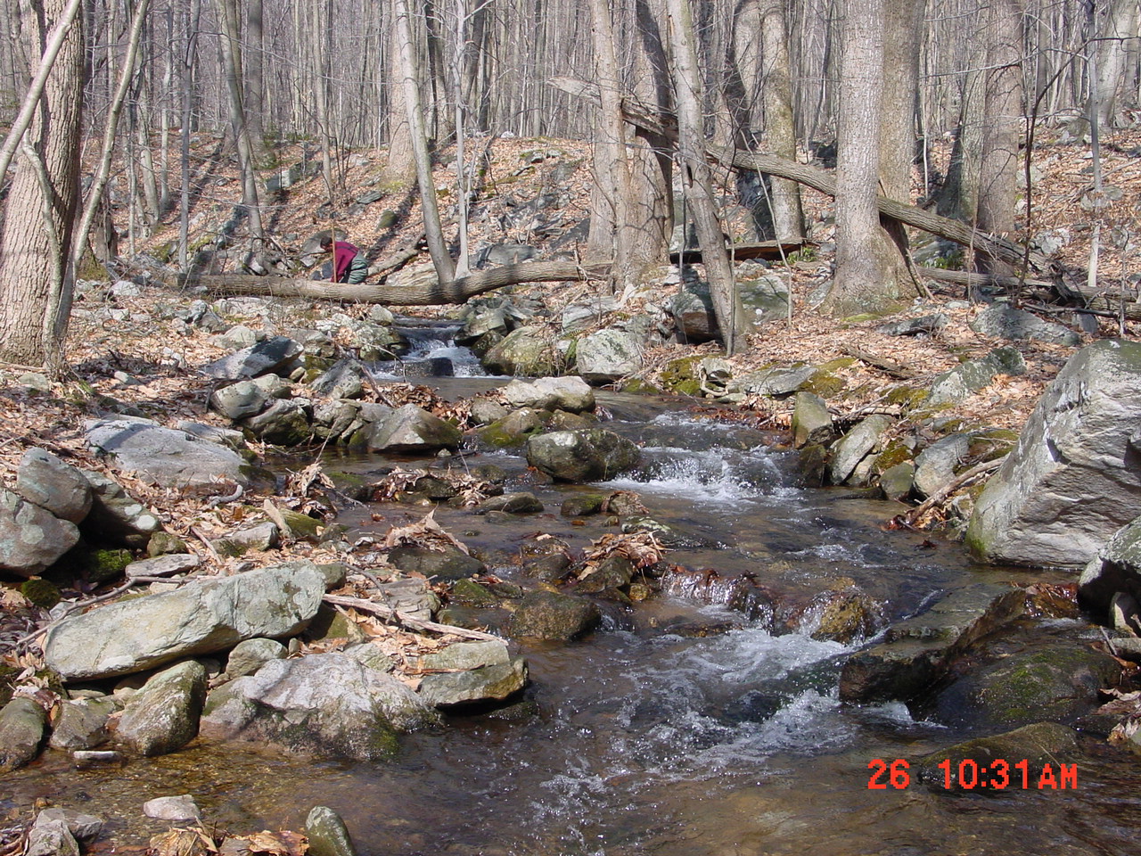 Field photo showing stream conditions at site UMON-288-S-2001-1