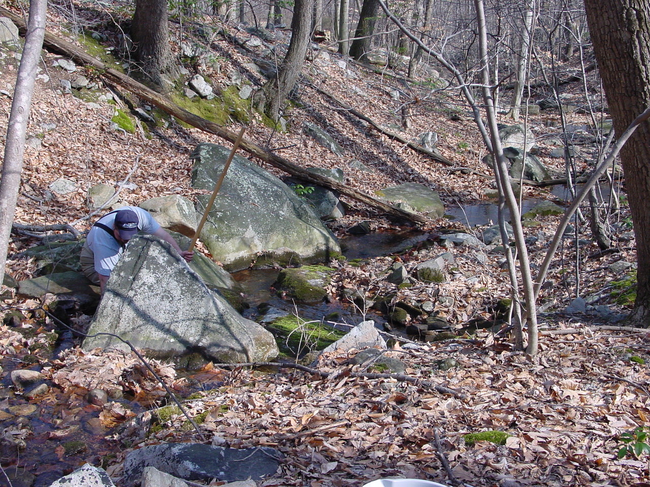 Field photo showing stream conditions at site UMON-288-S-2002-1